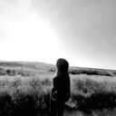  -,   , 31 ,     , c 