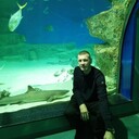 ���������� �����, ���� ������� ���������, 39 ���, ������������ ��� ������, ���������