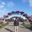 ���������� �����, ���� ������� ��������, 41 ���, ������������ ��� c�������� ���������, ���������