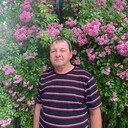 ���������� ����-��, ���� ������� ������, 55 ���, ������������ ��� ������, ����� � ���������