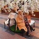 ���������� ������, ���� ������� ����, 36 ���, ������������ ��� ������, ����� � ���������, c�������� ���������