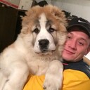 ���������� ��������, ���� ������� ������, 37 ���, ������������ ��� ������, ����� � ���������, c�������� ���������, ���������