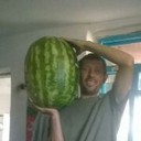  ,   , 44 ,   , 