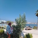  ,   , 71 ,  