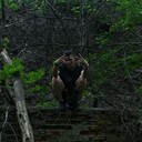 ���������� �������, ���� ����� Alexander, 22 ����, ������������ ��� ���������