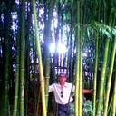  ,   , 53 ,   