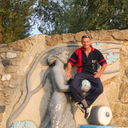 ���������� ������, ���� ������� Bel8558seg, 48 ���, ������������ ��� ������, ����� � ���������, c�������� ���������