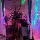 ���������� ���������, ���� ������� ��������, 66 ���, ������������ ��� c�������� ���������