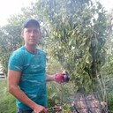 ���������� �������, ���� ������� ���������, 44 ����, ������������ ��� ����� � ���������, c�������� ���������