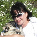 ���������� ��������, ���� ������� �������, 65 ���, ������������ 