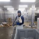 ���������� ������, ���� ������� ����, 46 ���, ������������ ��� ������, ����� � ���������