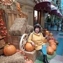 ���������� ������, ���� ������� �����, 56 ���, ������������ ��� ����� � ���������, c�������� ���������