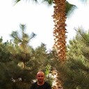 ���������� �������, ���� ������� �����, 40 ���, ������������ ��� ������, ����� � ���������, c�������� ���������, ���������