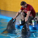  ,   , 44 ,   ,   , c 