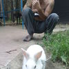  ,   , 52 ,   