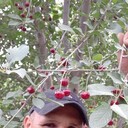  ,   , 52 ,   ,   