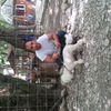  ,   Elmar, 45 ,   