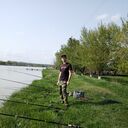 ���������� ����������, ���� ������� ��������, 36 ���, ������������ ��� ����� � ���������, c�������� ���������