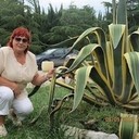  ,   , 68 ,     , c 