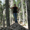 ���������� ������-��-����, ���� ������� ������, 41 ���, ������������ ��� ������, ����� � ���������, c�������� ���������