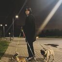 ���������� ������, ���� ������� ��������, 26 ���, ������������ ��� ������, ����� � ���������, c�������� ���������, ���������