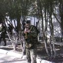 ���������� ������, ���� ������� Semen, 38 ���, ������������ ��� ������, ����� � ���������, c�������� ���������