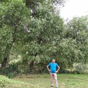 ���������� ����, ���� ������� Elman, 42 ����, ������������ ��� ������, ����� � ���������, c�������� ���������