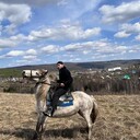 ���������� �����, ���� ������� Feti, 31 ���, ������������ ��� ������, ����� � ���������, c�������� ���������, ���������