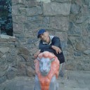 ���������� ��������, ���� ������� ������, 44 ����, ������������ 