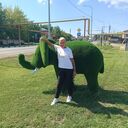 ���������� ��������, ���� ������� ���, 50 ���, ������������ ��� c�������� ���������