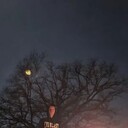 ���������� ���������, ���� ������� �����, 32 ����, ������������ ��� ������, ����� � ���������, c�������� ���������, ���������