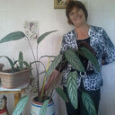 ���������� ������, ���� ������� �����, 63 ����, ������������ ��� ������, ����� � ���������, c�������� ���������