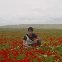 ���������� �������, ���� ������� ����, 33 ����, ������������ ��� ������, ����� � ���������, c�������� ���������, ���������