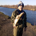 ���������� ������-��-����, ���� ������� ��������, 50 ���, ������������ ��� ������