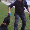 ���������� ����������, ���� ������� ����, 36 ���, ������������ ��� ������