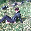 ���������� ���������, ���� ������� ������, 33 ����, ������������ ��� ������, ����� � ���������, c�������� ���������