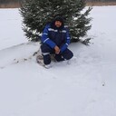 ���������� ���������, ���� ������� �������, 42 ����, ������������ ��� ������, ����� � ���������, c�������� ���������, ���������