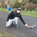  ,   Tudor, 43 ,   ,   , c 