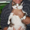 -,   Miroslav, 66 ,   ,   , c 