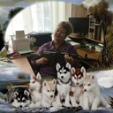 ���������� ������, ���� ������� �����, 49 ���, ������������ ��� ������, ����� � ���������, c�������� ���������