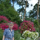 ���������� �����������, ���� ������� ��������, 53 ����, ������������ ��� ������, ����� � ���������, c�������� ���������