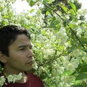 ���������� �����-���������, ���� ������� ������, 37 ���, ������������ ��� ������