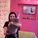  ,   , 53 ,   ,   , c 