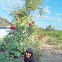   ,    , 42 ,   ,   , c , 