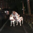 ���������� �����-���������, ���� ������� ��������, 45 ���, ������������ ��� ����� � ���������, c�������� ���������