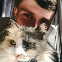 ���������� ������, ���� ����� ���������, 23 ����, ������������ ��� ������, ����� � ���������, ���������