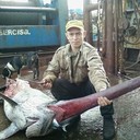 ���������� �����������, ���� ������� ���������, 50 ���, ������������ ��� ������, ����� � ���������, c�������� ���������