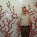 ���������� �������, ���� ������� �����, 44 ����, ������������ ��� ������