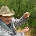 ���������� ���������, ���� ������� �����, 45 ���, ������������ ��� ������, ����� � ���������