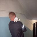 ���������� ���������, ���� ������� ������, 44 ����, ������������ ��� c�������� ���������